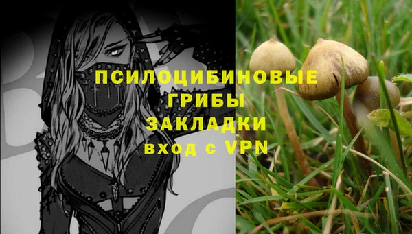 эйфоретик Алексеевка
