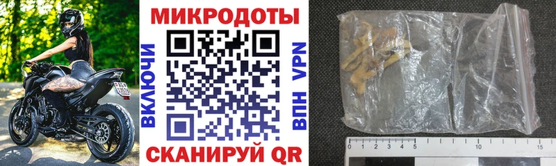 Псилоцибиновые грибы Psilocybe  Нефтекамск 