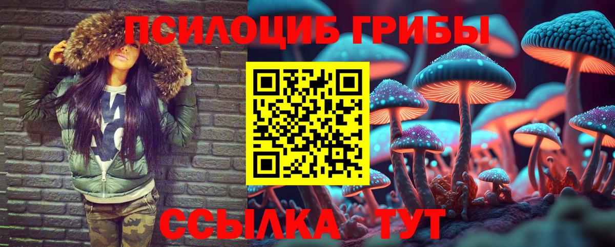 Псилоцибиновые грибы GOLDEN TEACHER Нефтекамск